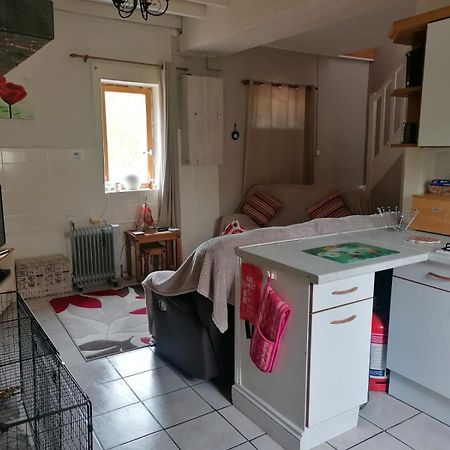 Le Petit Verger, 1 Impasse De La Fenouillere 61330 Céaucé Екстериор снимка